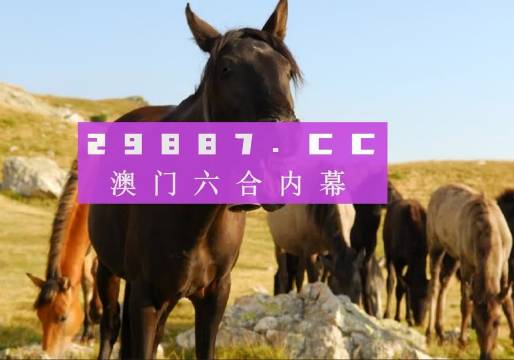 澳门与香港管家婆100%精准图片精选解析、解释与落实